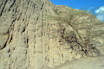 Desert of Sinai Peninsula, Egypt. Near Sharm El Sheikh