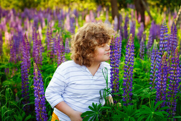 A beautiful curly-haired European boy against the background of a Lupin field. Inhales the scent of a blooming lilac flower. Portrait of a beautiful child in nature.