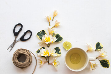 herbal healthy drinks honey lemon for sore throat with white flower frangipani local flora of asia arrangement on background white