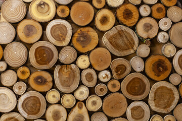 Background from sawn pieces of wood. Cuts of trees collected into a texture. Natural background...