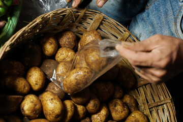 Fresh potato with traces of earth on the skin. dirty raw potatoes in large quantity, not washed. Harvest of fresh young potatoes. Lots of potatoes, in a pile. Close up of fresh organic potatoes.