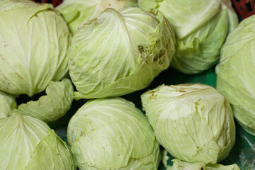 Fototapeta na wymiar Cabbages display on sale in the traditional market. Vegetables markets. Cabbage background. Fresh cabbage from farm field. Close up macro view of green cabbages. Vegetarian food concept.