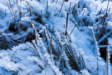 Ice crystals on the grass during severe frost