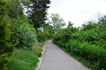 Cute park in Budapest, Hungary