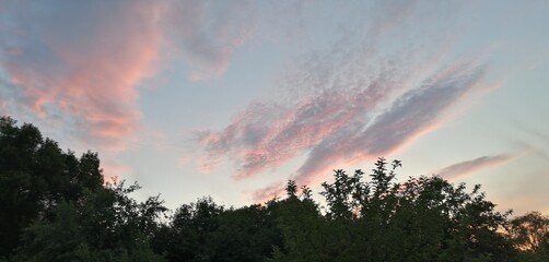 Закат, небо, вечер, облака, деревья
