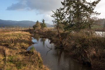 Little Nestucca river on the Pacific coast of northwest Oregon in the United States. Nestucca Bay Wildlife Refuge area