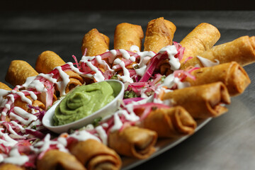 Rollo de pibil