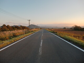 道路
