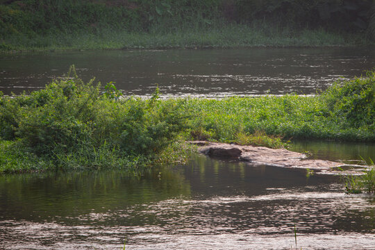View of flow of water in Bharathappuzha River (also known as Nila or Ponnani River), Pollachi, Tamil Nadu, India. Selective focus