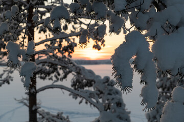 Winter fairy tale in nature