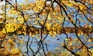 Herbst am See