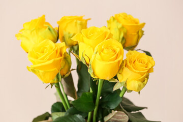Fototapeta premium Beautiful yellow roses on light background