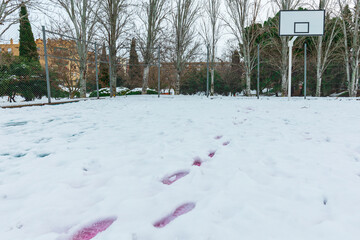 Snow-covered basketball court in a public park, footprints in the snow