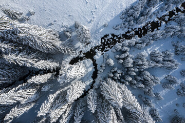 Fototapeta na wymiar Aerial birds eye view of a river curving through big winter trees covered with snow landscape over the mountains