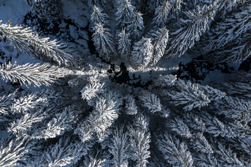 Aerial birds eye view of a river curving through big winter trees covered with snow landscape over the mountains