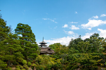 風景素材　仁和寺の庭園