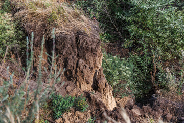 Mountain landslide disaster in sesmically dangerous area. Large cracks in earth, descent of large...