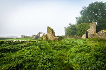 Fototapeta premium The ruins of an old castle on a foggy morning, near a lake in Ireland