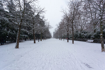 Parks and gardens covered in snow after the storm Filomena passed through the capital. Extreme...