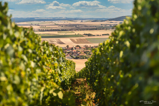 Le village de Torvilliers, déns l'Aube, aux pieds de la colline de Montgueux et des vignes.