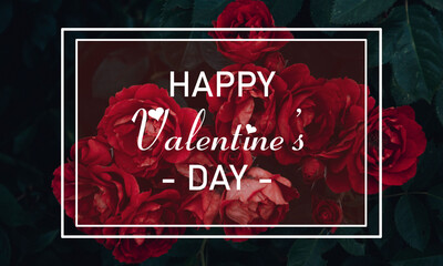 Happy Valentines Day Dark Red Rose