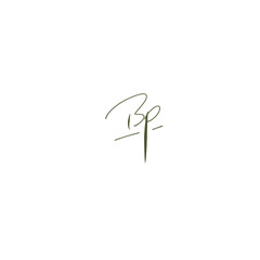 BP initial handwritten logo for identity