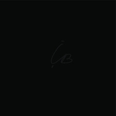 iB initial handwritten logo for identity