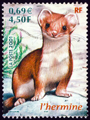 Postage stamp France 2001 short-tailed weasel