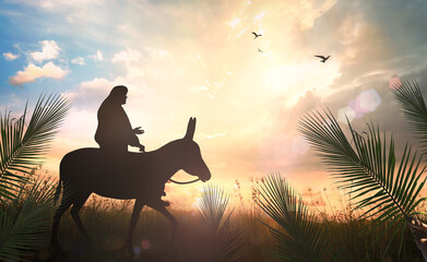 Palm Sunday concept: Silhouette Jesus Christ riding donkey on meadow sunset background