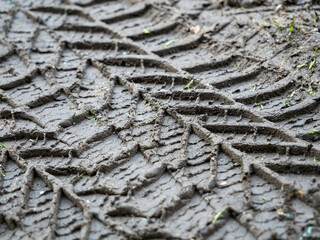 Car tire tracks on wet muddy road.