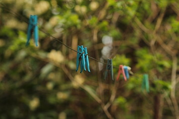 Fototapeta na wymiar Blue clothespins hanging on a wire