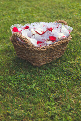 Fototapeta na wymiar basket with fresh rose petals for throwing