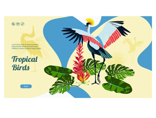 Tropical birds landing page template. Exotic fauna, jungle forest website. Beautiful crane bird on nature landscape flat vector illustration