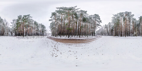 Winter full spherical hdri panorama 360 degrees angle view on dirt road in a snowy pinery forest...