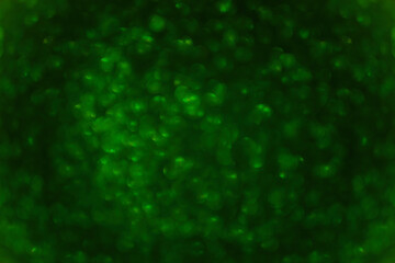 Blurred defocused background. Texture of green black bokeh. Template for St. Patrick's Christmas holiday greeting cards. Abstraction template. Copy space Layout for decoration