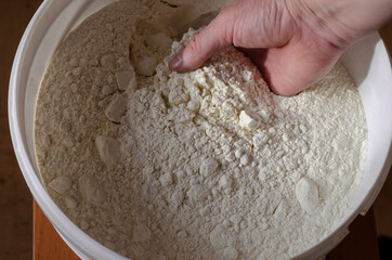 Man dips his hand into large plastic bucket of wheat flour.