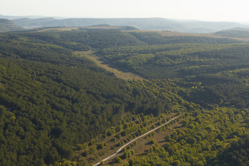 country road through the forest and between high flat mountains