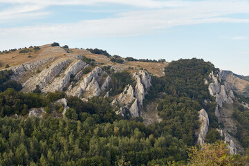 rocky sharp rocks shows through the way the forest