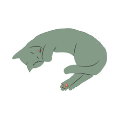 Cosy hand drawn cat. Lying. Sleeping. Vector illustration. Editable lines. Colored.