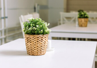 A pot of plastic plants, on a table in a wicker pot-2.