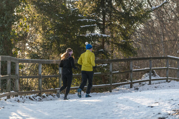 Fototapeta na wymiar couple walking in the snow