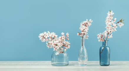Spring or summer festive blooming with white flowers fruit tree branches in three small glass vases against tender blue background. Fresh floral wide background banner with copy space subtle
