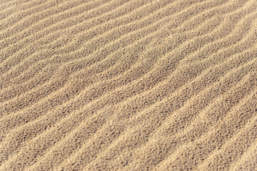 Wavy sand texture background. Dented wave of the blow of the wind
