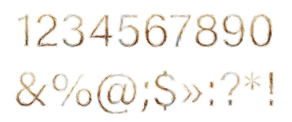 Numbers 1, 2, 3, 4, 5, 6, 7, 8, 9, 0 and symbols !  :  ?  made of red cat hair isolated on a white background. A set of numbers and symbols in a light brown wool font.