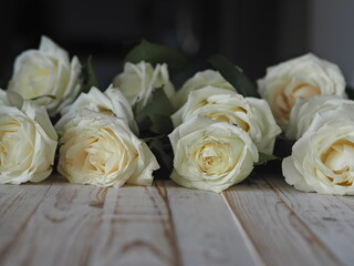 Light spring floral background. White roses on a light wooden decorative background for congratulation text.