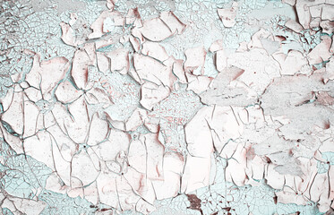 Old grungy cracked white and blue grey weathered wall paint peeling off rusted metal sheet. Textured background for posters and bloggers
