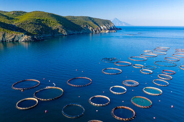 Aerial spectacular view at fishing farm in Greece. Aquaculture production. - obrazy, fototapety, plakaty