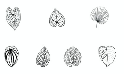 Hand drawn autumn collection with seasonal plants and leaves. Vector Illustration.
