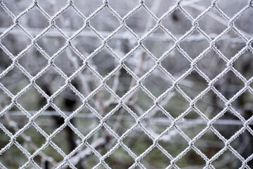 Wire fence with hoarfrost in winter