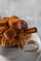 Close up of Hot chocolate cup with whipped cream decorated with cinnamon and marshmallow. Traditional beverage for cold days concept.